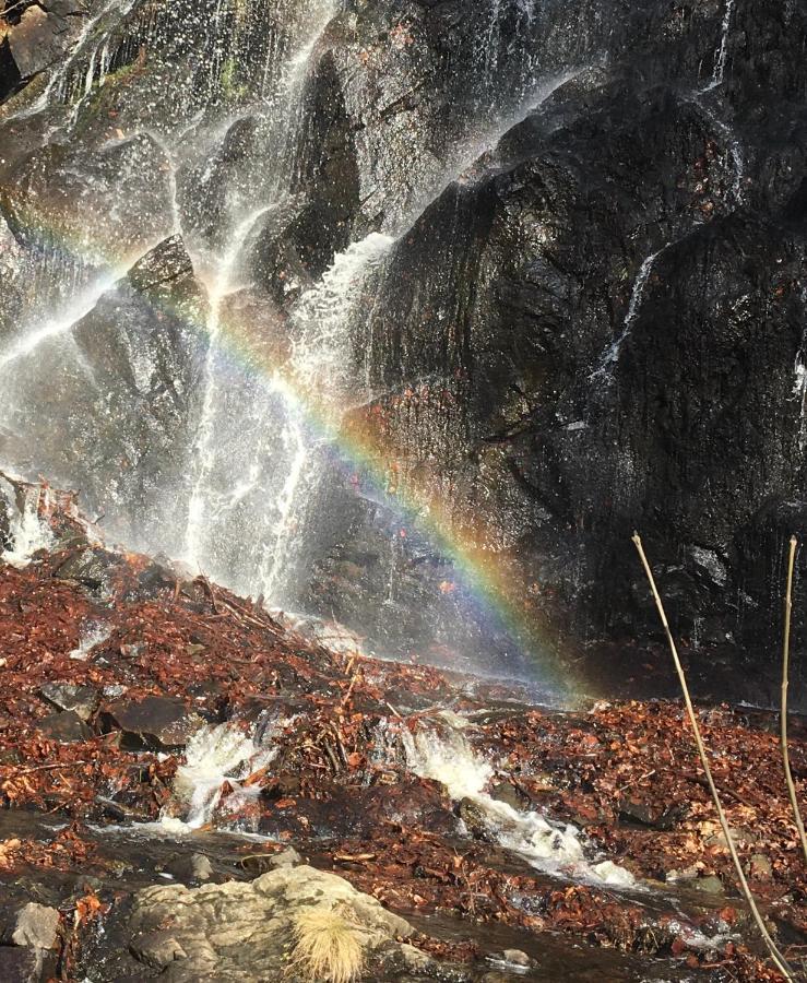 Linda Daire Goslar Dış mekan fotoğraf
